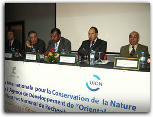 Oujda : Vers la conservation et le développement durable de la mer d’Alboran