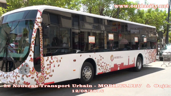 VIDEO ارتياح وترحاب بشركة النقل الحضري الجديدة بوجدة : موبيليس ديف