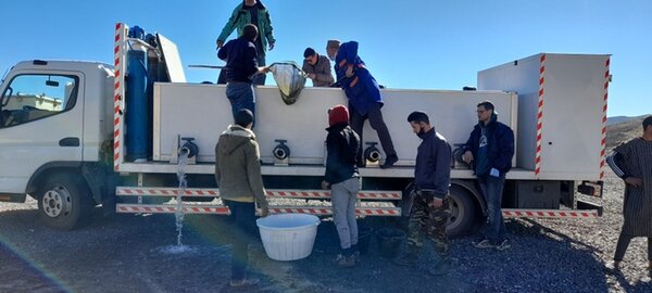 LE CENTRE NATIONAL DE PISCICULTURE ET DE L’HYDROBIOLOGIE ENTAME LES OPERATIONS DE DEVERSEMENTS DE LA TRUITE ARC-EN-CIEL