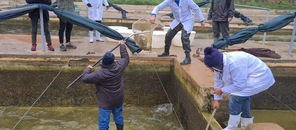 PECHE SPORTIVE : AMATEURS DE LA PECHE SPORTIVE AU RENDEZ-VOUS A AMGHASS I