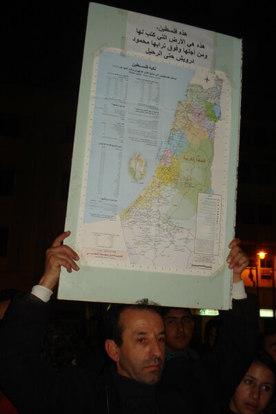 Palestine invétérée