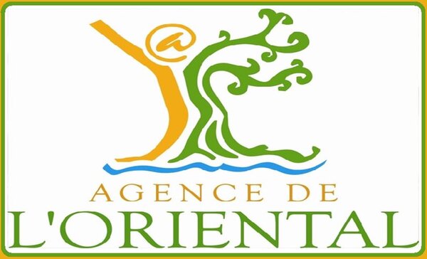 VIDEO عشرون سنة من التنمية: وكالة تنمية جهة الشرق تصنع التحول الكبير