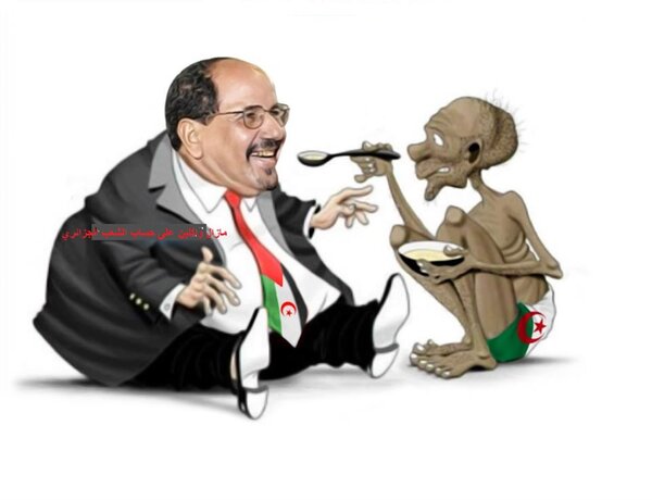 لاحظ نتيجة صرف الجزائر 400 مليار دولار على البوليزاريو VIDEO