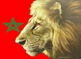 عندما تزأر الأسود في شوارع الرباط