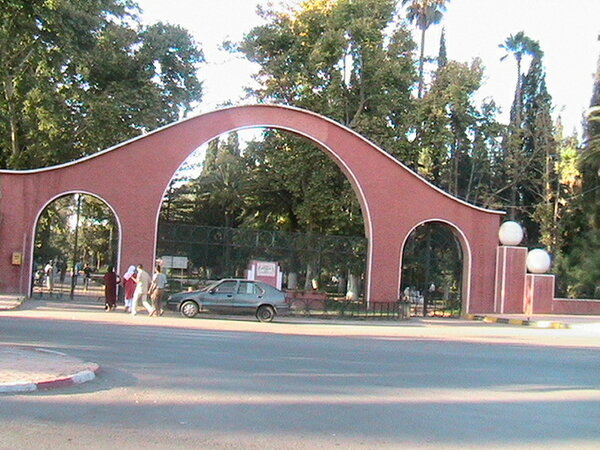 جمعية المخيمات الصيفية المدرسية تحل بمدينة وجدة