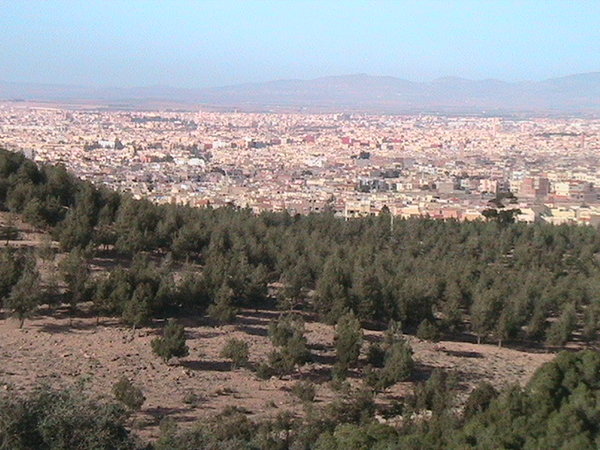 Oujda valorise ses déchets solides