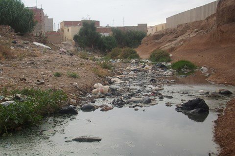 أحياء شعبية بوجدة بين مد الروائح وهجومات الحشرات وجزر فاتورات المبيدات