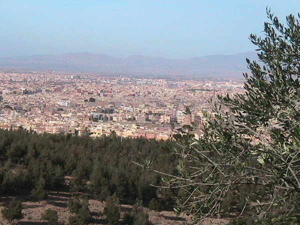 Le Programme Art-Gold Maroc dresse le bilan et les perspectives de ses réalisations dans la région de l\&rsquo;Oriental