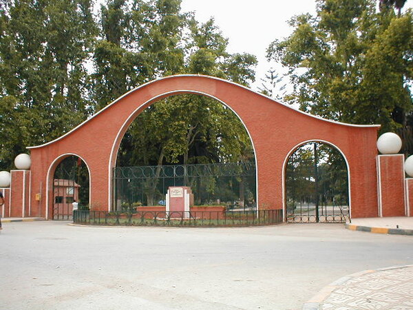 حدث رياضي نسائي عمومي بوجدة