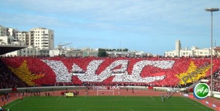 الوداد البيضاوي يمطر شباك مولودية الجزائربرباعية نظيفة VIDEO