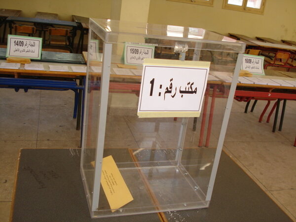 ماذا بعد انتخابات اللجان الادارية
