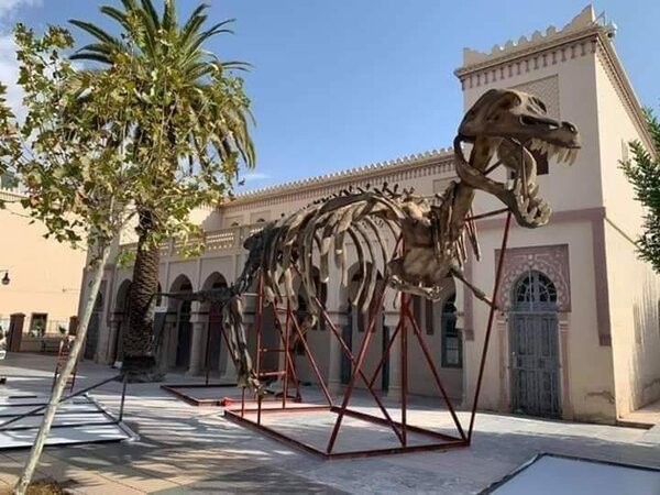 ديناصور وجدة … »المرعب » …. يلهب مواقع التواصل الاجتماعي ….VIDEO