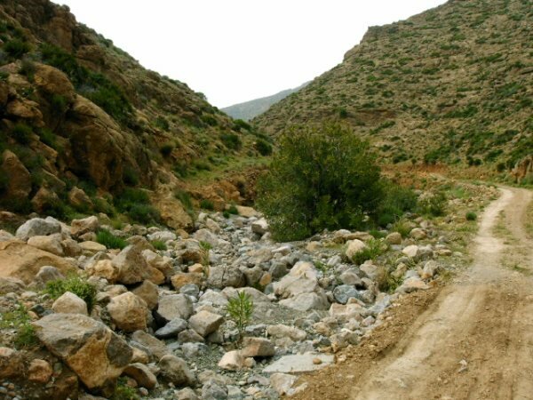 الجنان المنسية