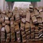 خلال دورية عادية لعناصر الدائرة التاسعة حجز 14 كلغ من مخدر الكيف