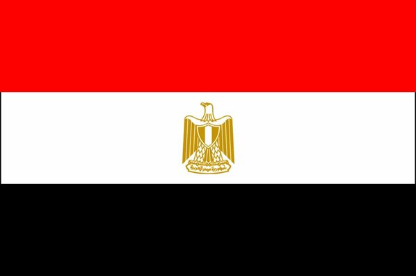 مظاهرات في مصر من أجل شهادة عذرية قبل عش الزوجية