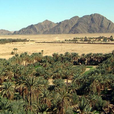 POUR LE DEVELOPPEMENT DURABLE DE LA PROVINCE DE : FIGUIG