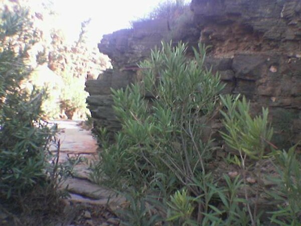 كفايت : مَعْـلمة طبيعية نادرة على ضفاف الوادي الحي‎