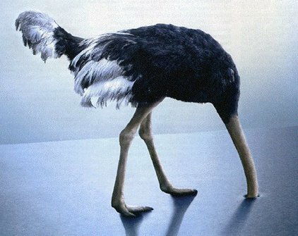 متدربوا المعاهد المتخصصة للتكنولوجيا التطبيقية بوجدة يحتجون والإدارة الجهوية تقدم الوعود