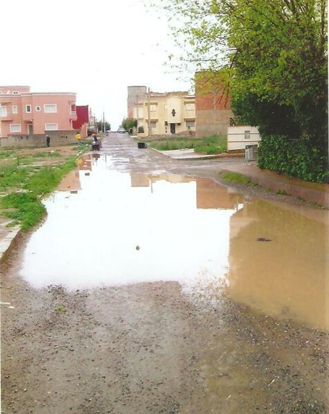 متى تصل شاحنات التزفيت لهذا الشارع؟