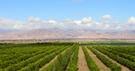 Evolution de l’aide des Etats-Unis à l’agriculture marocaine