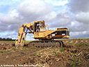 Oriental / Mise en valeur agricole