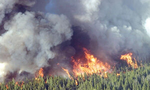 Plus de 4.300 Ha de forêts détruits par 536 incendies dans la région de l&rsquo;Oriental entre 1997 et 2010
