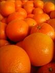 Campagne agrumicole 2008-2009: production de 225.000 tonnes (+24 %)