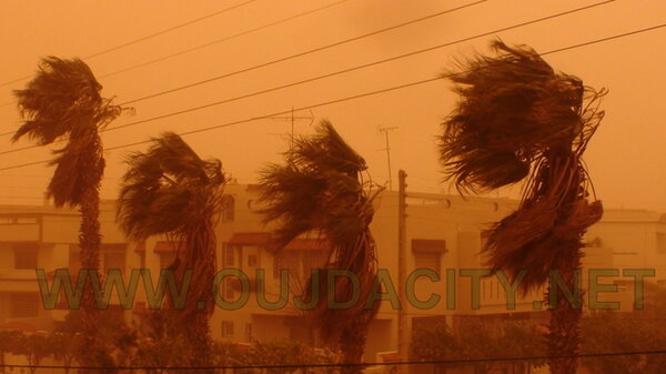 عاصفة رملية تضرب مدينة وجدة مساء يومه الأثنين VIDEO