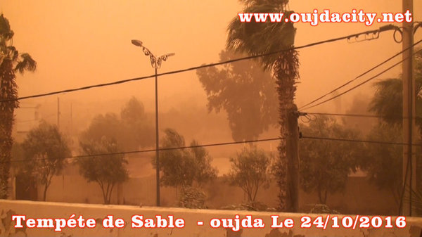 Une tempête de sable frappe la ville d&rsquo;Oujda et la nécessité de la création d&rsquo;une ceinture verte au sud de la ville – VIDEO