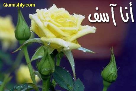 فن الاعتذار تعلموه وعلموه