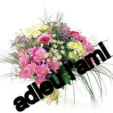 HOMMAGE : ADIEU L&rsquo;AMI
