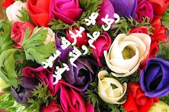 عيد مبارك سعيد