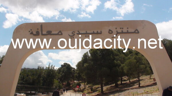 Oujda : A Monsieur le Directeur des Eaux et Forêts