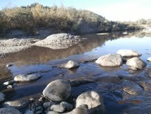 تاونات: جريمة بيئية بواد أسرى نتيجة « المرج »مخلفات معاصر الزيتون VIDEO