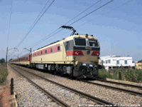 Nador bientôt desservie par le train