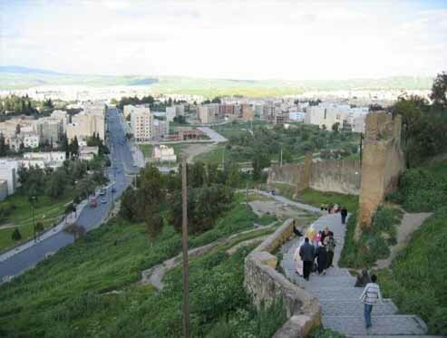 تازا نغرا