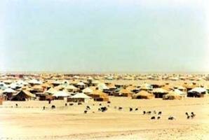 مخيمات تندوف في وضعية كارثية والبوليساريو يواصل حفر قبره بيده