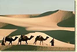 بحور الشعر 13وليست 16كما ورد عن الأخفش والخليل