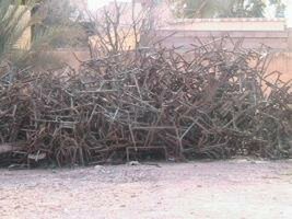 الاتلافات بالمؤسسات التعليمية وباء بدون دواء