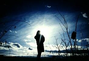 الانسان