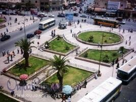 ينيولوجيا الأرصفة المغربية