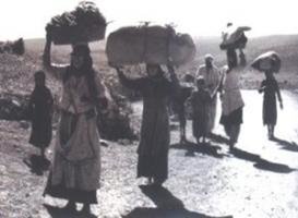 البيان الختامي الصادر عن اللقاء التشاروي الفلسطيني من اجل حق العودة واعادة بناء منظمة التحرير الفل