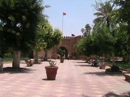 وجدة تصرخ : آش خصك ألعريان ؟ خصني لخواتم أمولاي .
