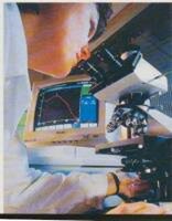 La recherche scientifique au Maroc