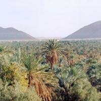 Figuig : Forum international de l&rsquo;eau