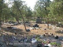 Oujda : Campagne de sensibilisation pour sauver la forêt de la Colonge