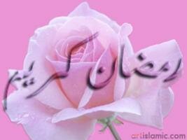 هاهي العشر الأواخر من رمضان على الأبواب ، ها هي خلاصة رمضان ،و زبدة رمضان ، و تاج رمضان قد قدمت .