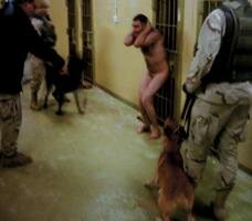 انواع خيالية من التعذيب تمارسها الولايات المتحدة في سجونها ضد المعتقلين : يرويها سامي الحاج
