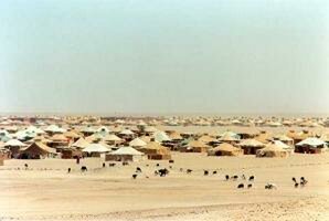 جهزة الأمن ل(البوليساريو) تقوم بحملة اعتقالات واسعة في صفوف الأطر التي تعتبرها تحرض السكان على العصي
