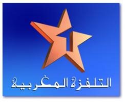 ماجدوى الكتابة عن التلفزيون1